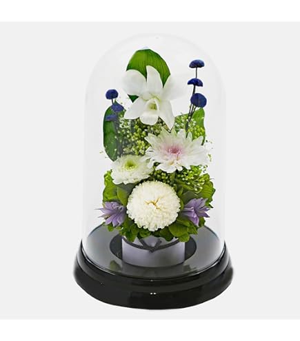 【特価商品】アートフォーシーズン■お供え花マムドーム 対デザインSET ホワイト Amazon｜アートフォーシーズン□お供え花マムドーム 対デザインSET